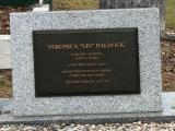 image of grave number 879510